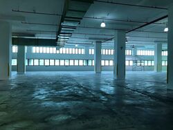ELEMENT 14 (D19), Warehouse #576589511